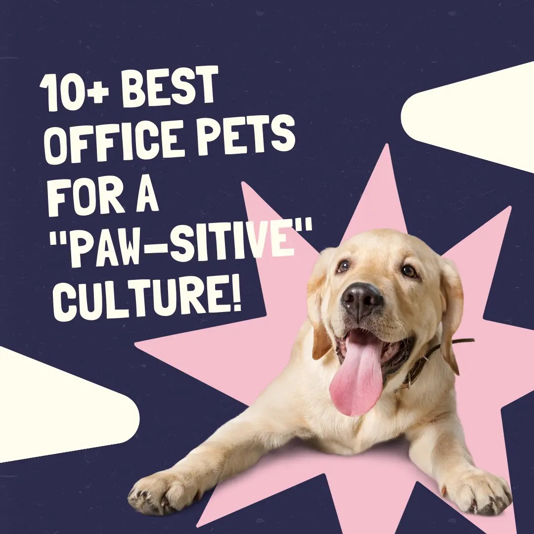 11+ Best Office Pets for a “Pawsitive” Culture and Team Bonding!